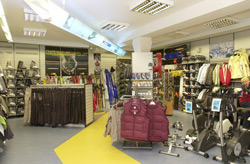 gue-sport2.jpg (23272 Byte)